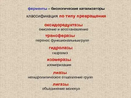 Ферменты выступают в роли катализаторов