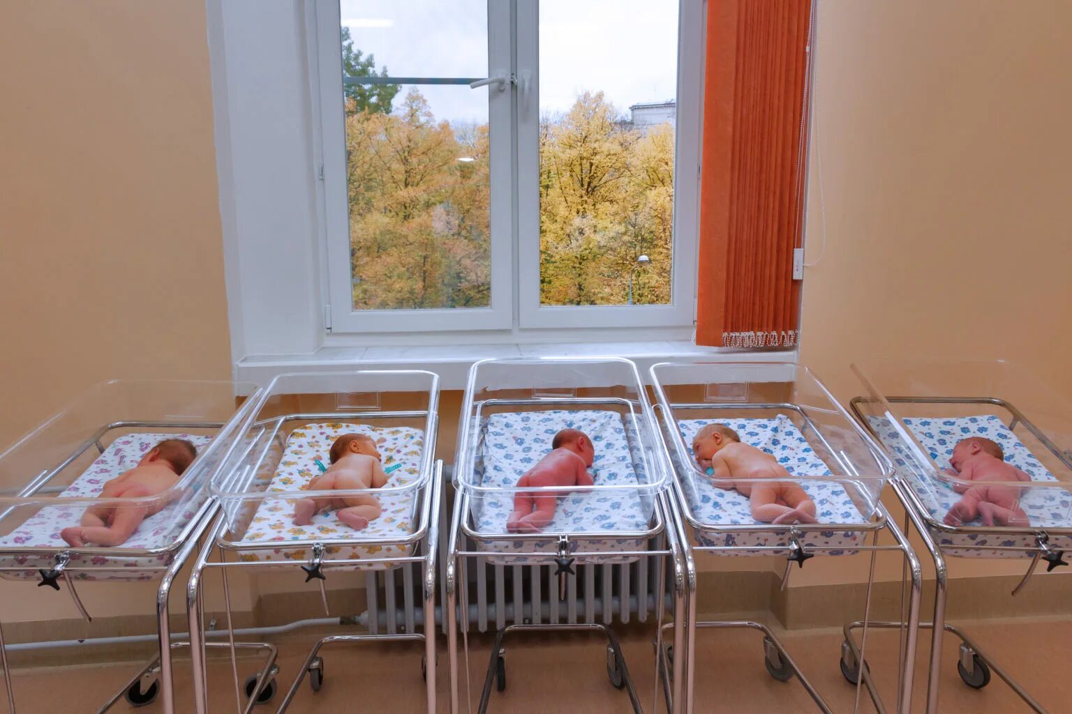 здание перинатального центра псков. перинатальный запись. новый перинатальный центр чита. перинатальный запись. перинатальный центр саранск.