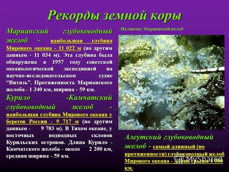 большой барьерный риф тихий океан. рекорды мировых океанов. сообщение о мировом океане. большой коралловый риф в австралии. большой барьерный риф (the great barrier reef).