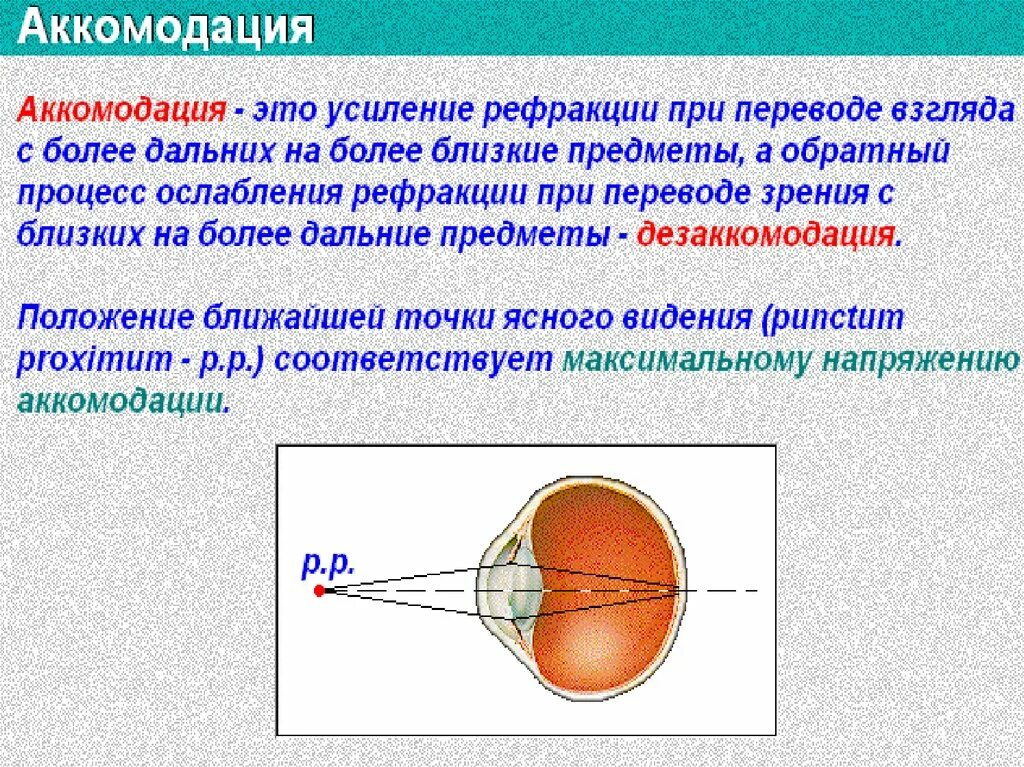 Какая структура обеспечивает аккомодацию. Механизм аккомодации глаза анатомия. Схема рефлекторной дуги аккомодации. Аккомодация хрусталика. Схема рефракции нормального зрения.
