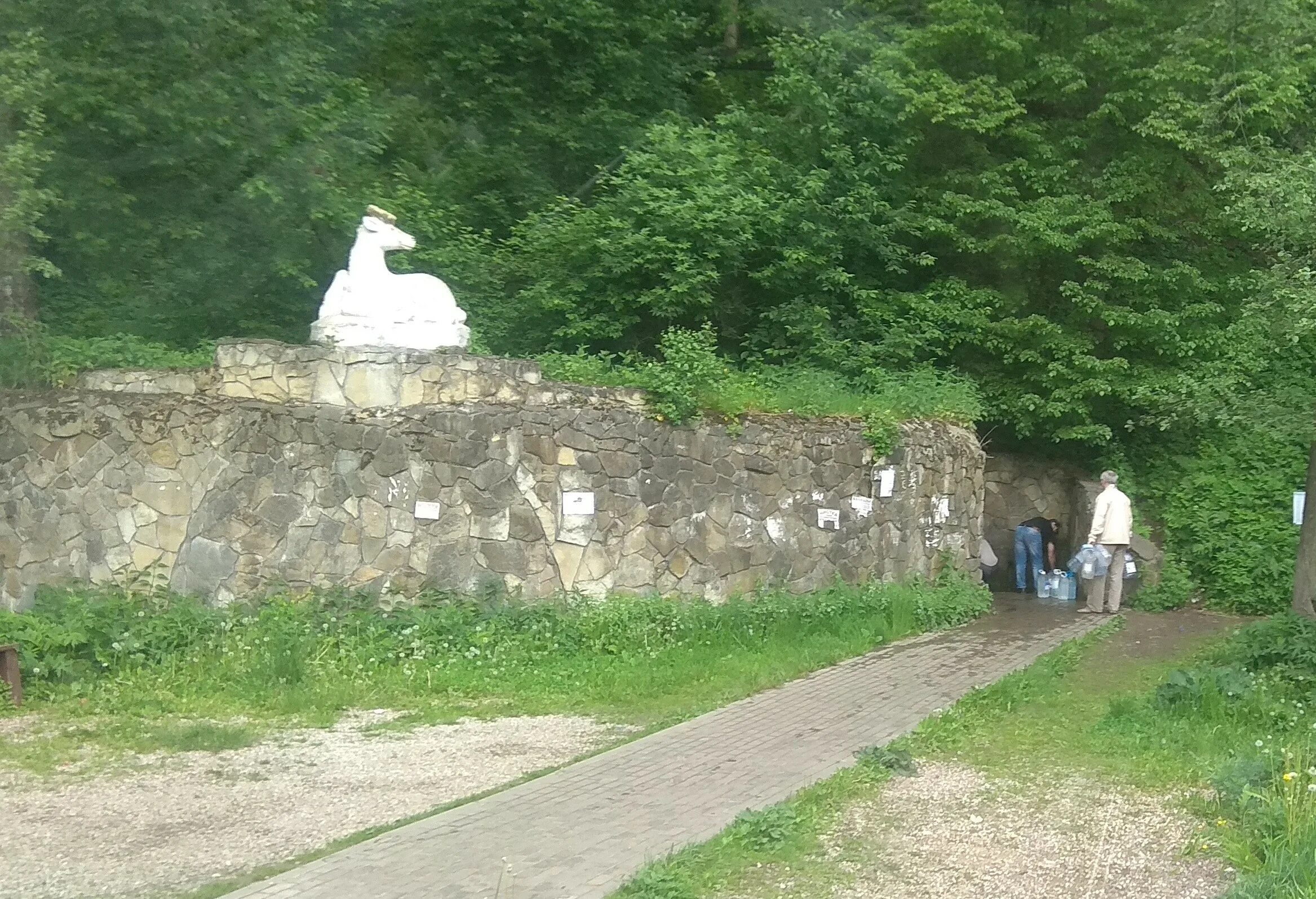 Родник красногорск. Родник на Красногорское шоссе. Родник в Красногорске. Родник Одинцово. Родник на Подушкинском шоссе.