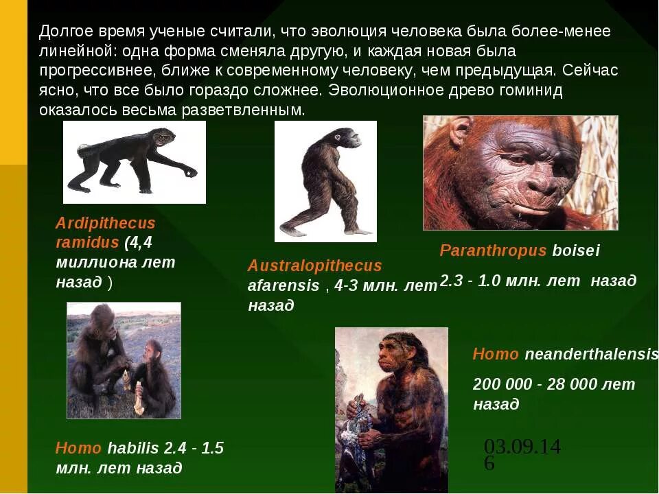 Эволюционное происхождение человека презентация. Эволюция человека презентация. Происхождение человека. Эволюция современного человека. Проект на тему Эволюция человека.