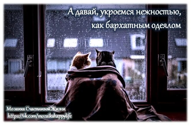 Давать как теплый так и. Давать как теплый так и