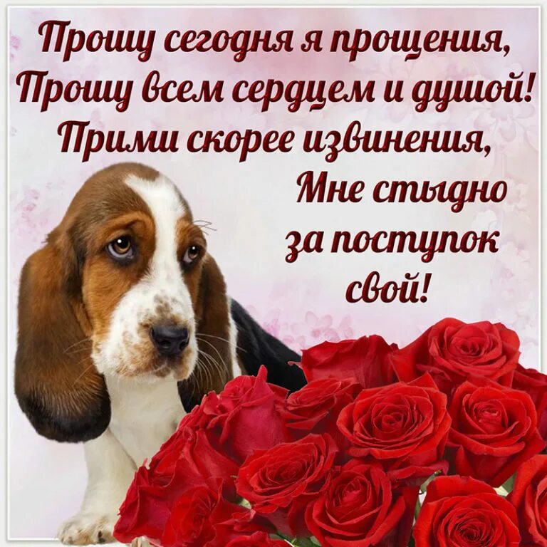 Просто прощения