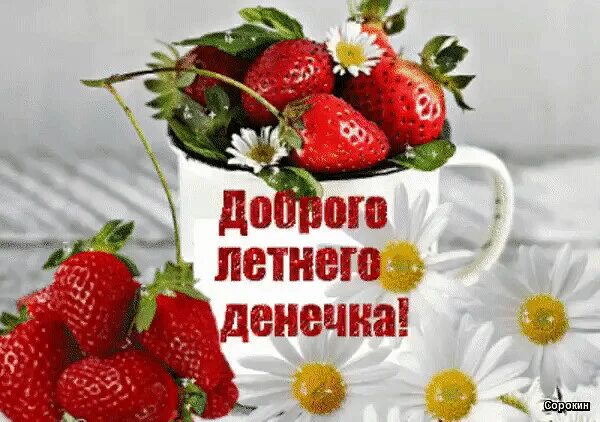Доброго денечка лета. Хорошего денечка летнего настроения. прекрасного летнего настроения. хорошего летнего денечка и хорошего настроения. открытки летнего настроения.