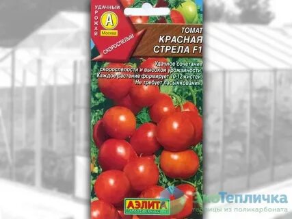 Томат красная стрела отзывы урожайность