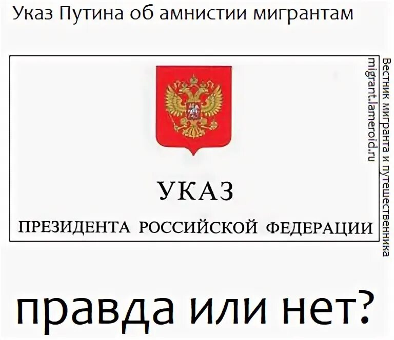 Указ об амнистии. Указ об амнистии год