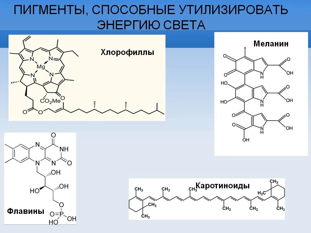 Строение пигментов. Дофа в меланин. Схема синтеза меланина. Структура меланина химическая. Меланин формула.