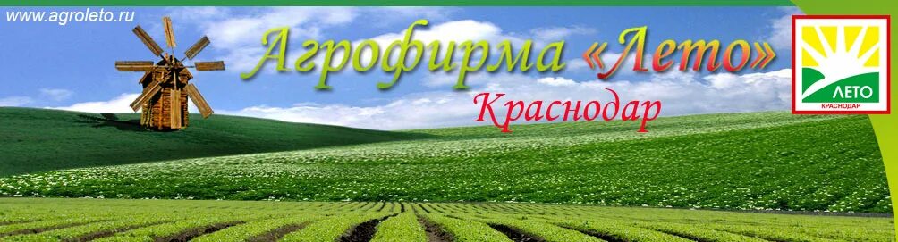 Ооо лета групп. Агрофирма лето. Агрофирма лето Краснодарский край. ООО лето. Агрофирмы Краснодар.