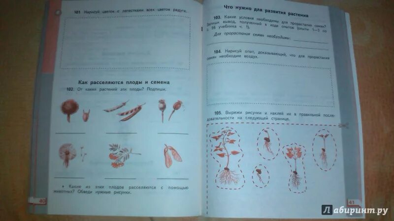 Окр мир 4 класс тетрадь стр 34. Ивченкова г.г., Потапов и.в. окружающий мир. Окружающий мир 3 класс рабочая тетрадь Потапов Ивченкова. Окружающий мир 1 класс рабочая тетрадь Ивченкова. Окружающий рабочая тетрадь Потапов Ивченкова 1 часть.