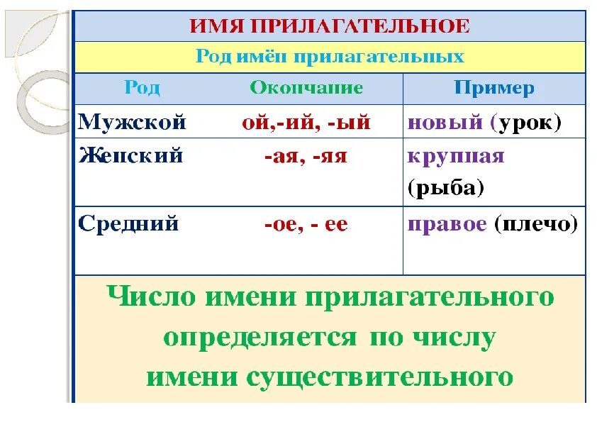 Имя прилагательное таблица. Согласование прилагательное с существительным. Согласование прилагательного с существительным в роде. Согласование существительных с прилагательными правило.