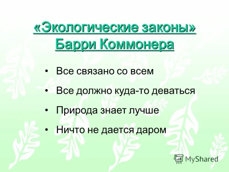 все связано со всем природа лучше знает