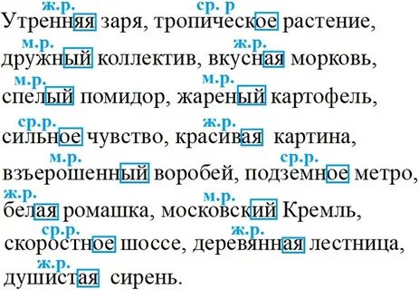 Русский язык учебник 6 класс практика страница