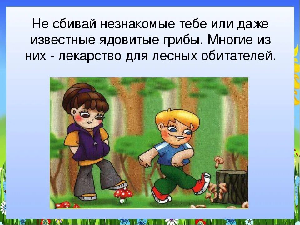 Не сбивай грибы даже не сьедобные. Не сбивай грибы в лесу. Не сбивай грибы даже несъедобные. Нельзя срывать незнакомые грибы.