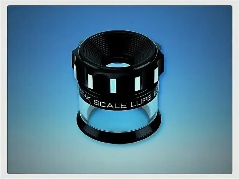 Scale focus. Scale focus