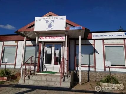 Визави тольятти