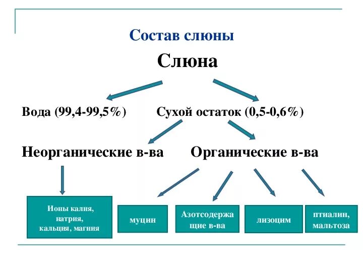 Особенности слюны