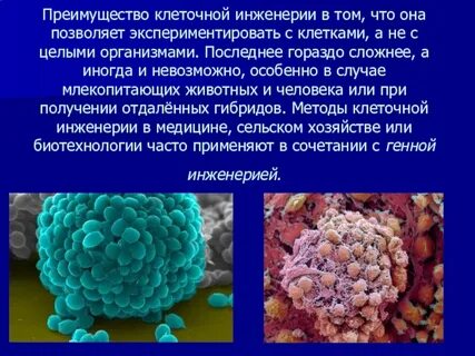 Научные открытия в генной и клеточной инженерии