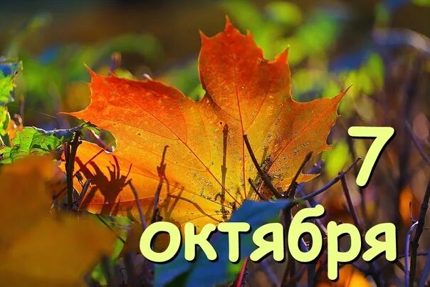 Ежегодно 7 ноября отмечался день свершения Октябрьской революции. Далее предлага