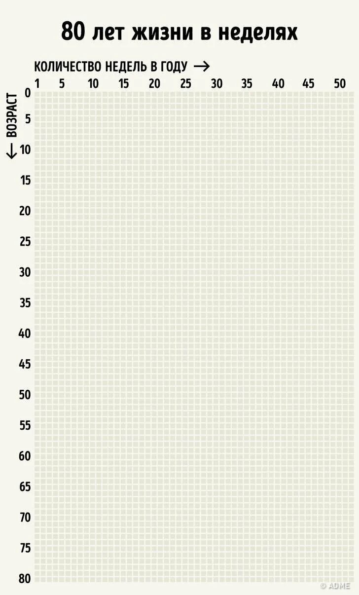 46 дней в неделях. Таблица жизни в неделях 80 лет. Календарь жизни. Календарь 90 лет жизни в неделях. Таблица жизни в неделях 90 лет.