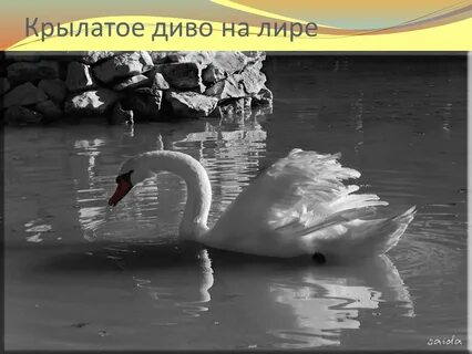 Крылатое диво