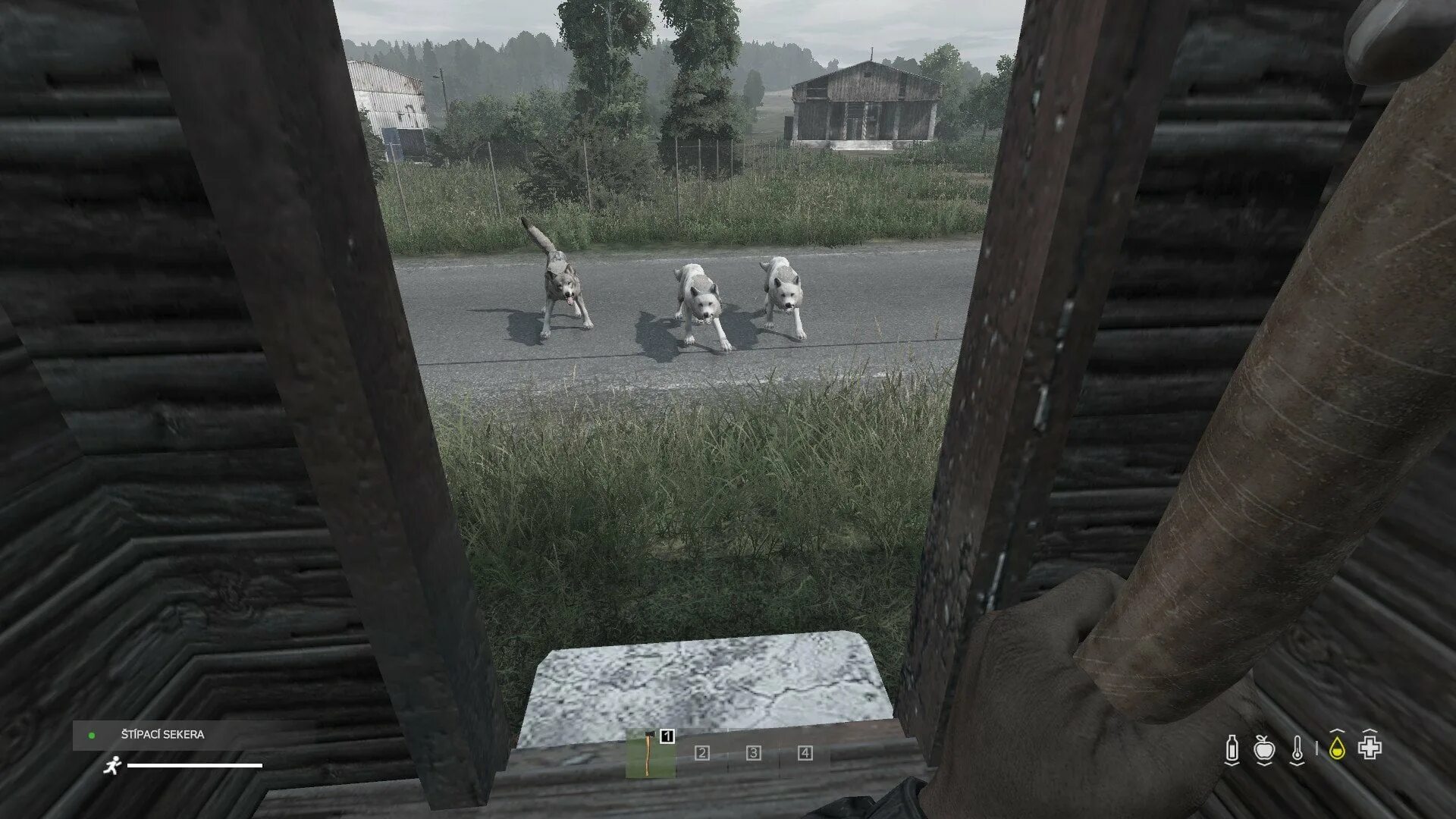 Лопата дейз. Рама для дейзи. навес дейз. dayz карлик. dayz лопата.