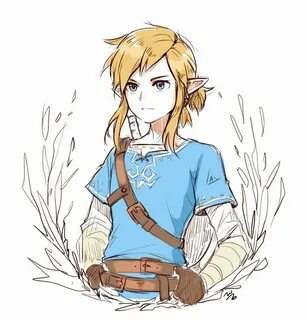The legend of link