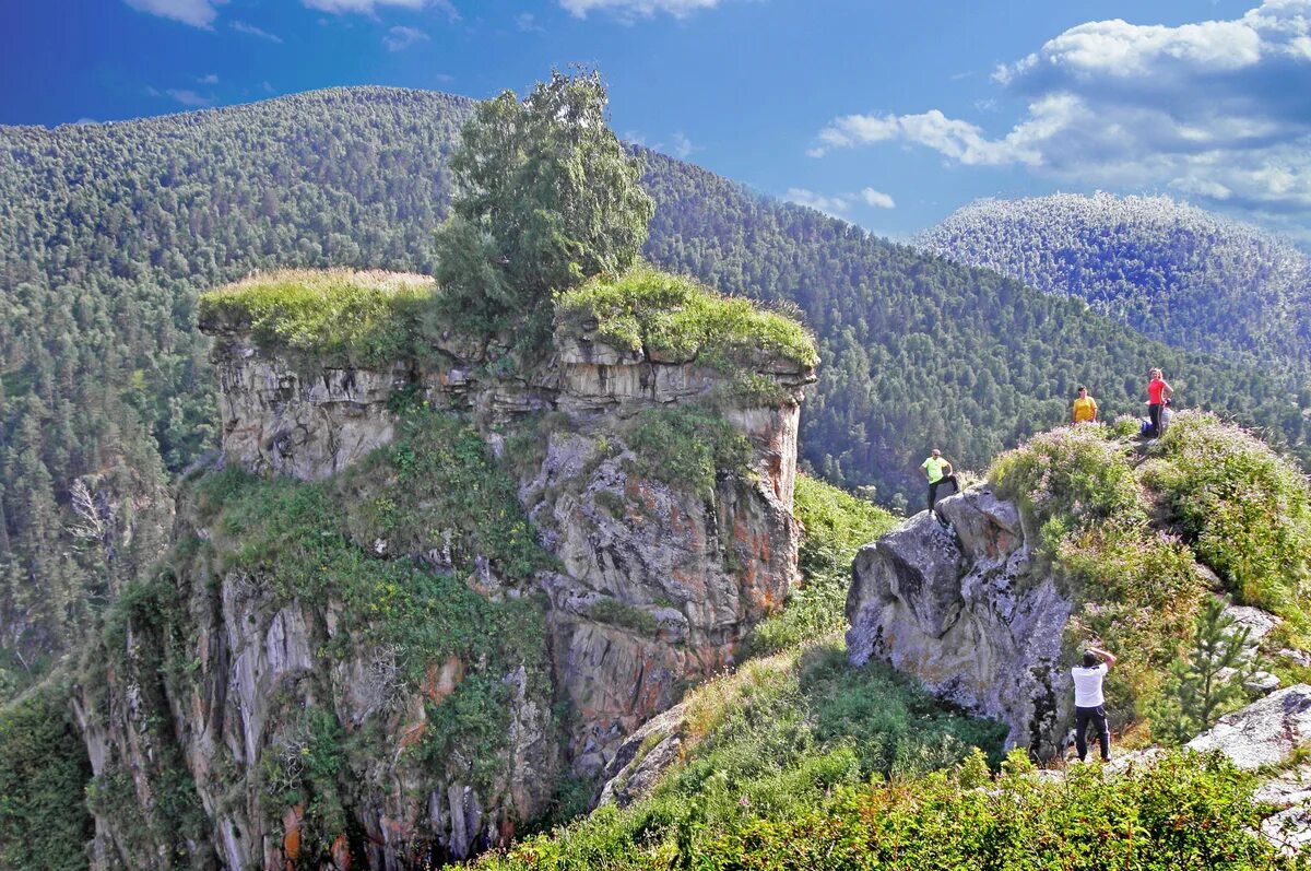 Уральские скалы аватара. Скала аватара. Скала аватара. Горы аватара кисловодск. Лесной парк чжанцзяцзе китай.