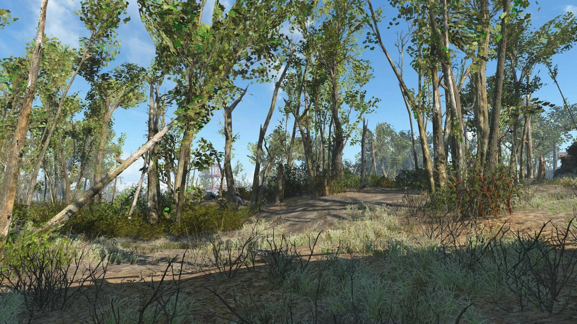 Fallout 4 green screenshots. Зелёный мир fallout 4. Фоллаут 4 зеленые. Fallout 4 зеленая растительность. Fallout green screen.