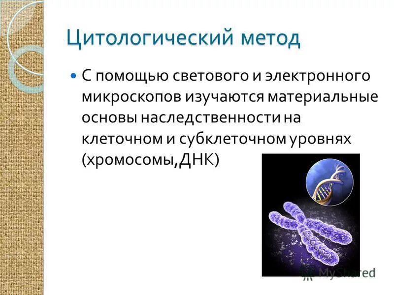 Современные методы цитологического анализа хромосом. Цитологический метод. методы генетики цитологический. цитологический метод исследования генетики. цитологический метод в генетике.