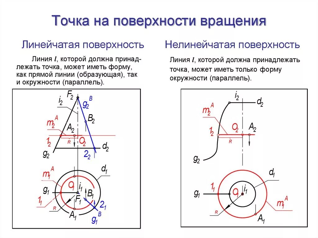 Точка на поверхности вращения. Принадлежность точки поверхности вращения. Линия на поверхности вращения. Проекции поверхностей вращения. Определение точек на поверхности