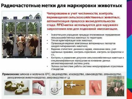 Обязательная маркировка животных