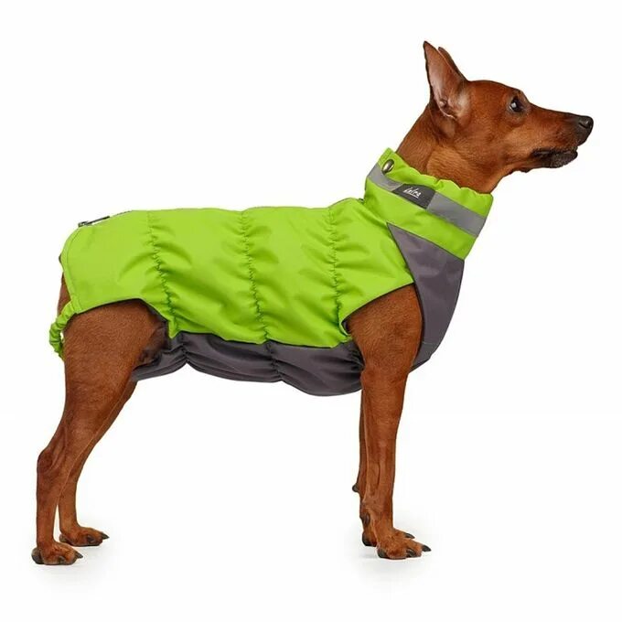 Одежда для собак laira официальный сайт. Одежда для собак laira. Лаира для собак одежда. Жилетка для собаки крокодил. Одежда для собак laira.