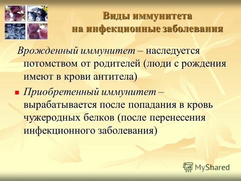 после введения вакцины вырабатывается иммунитет. иммунные агенты. инфекционные заболевания иммунитет. иммунитет это невосприимчивость организма к инфекционным. заболевания видовой иммунитет.