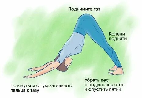 Поезжай вперед как правильно