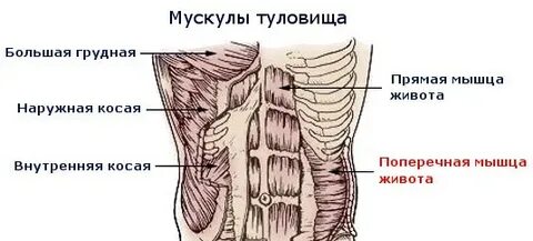 Косое туловище