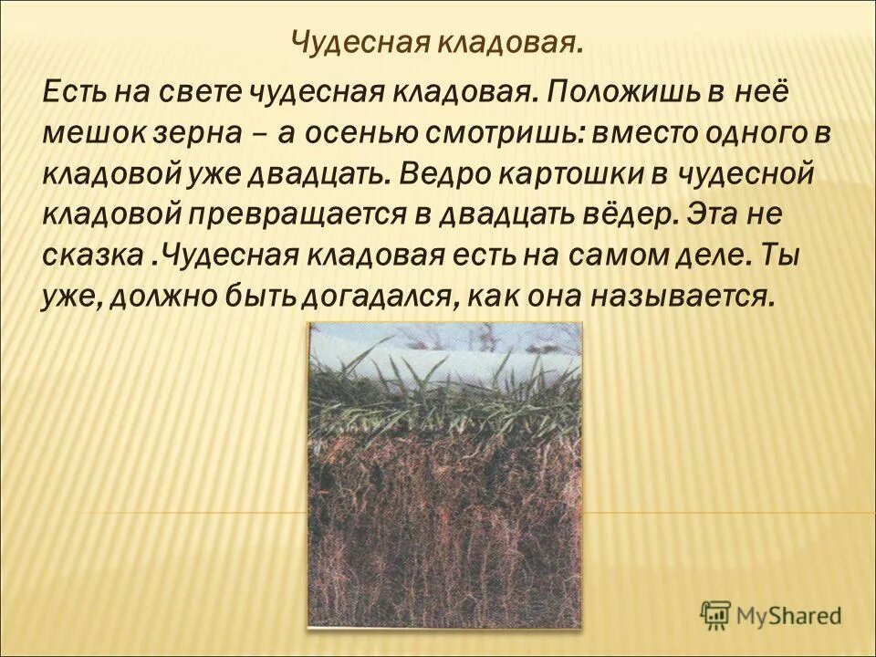 Чудесная кладовая земля. Рассказ чудесная кладовая. Чудесная кладовая. Есть на свете чудесная кладовая. Чудесная кладовая.