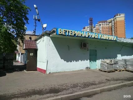 Айболит плюс удальцова