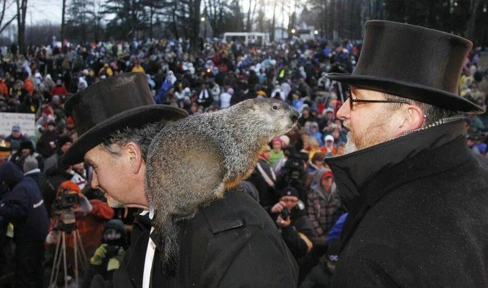 Punxsutawney Phil. Сурок Панксатони Фил. Сурок Фил из Панксатони. Панксатони день сурка. Знаменитый фил из панксатони 5 букв