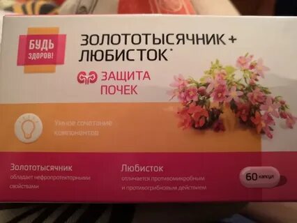Золототысячник любисток
