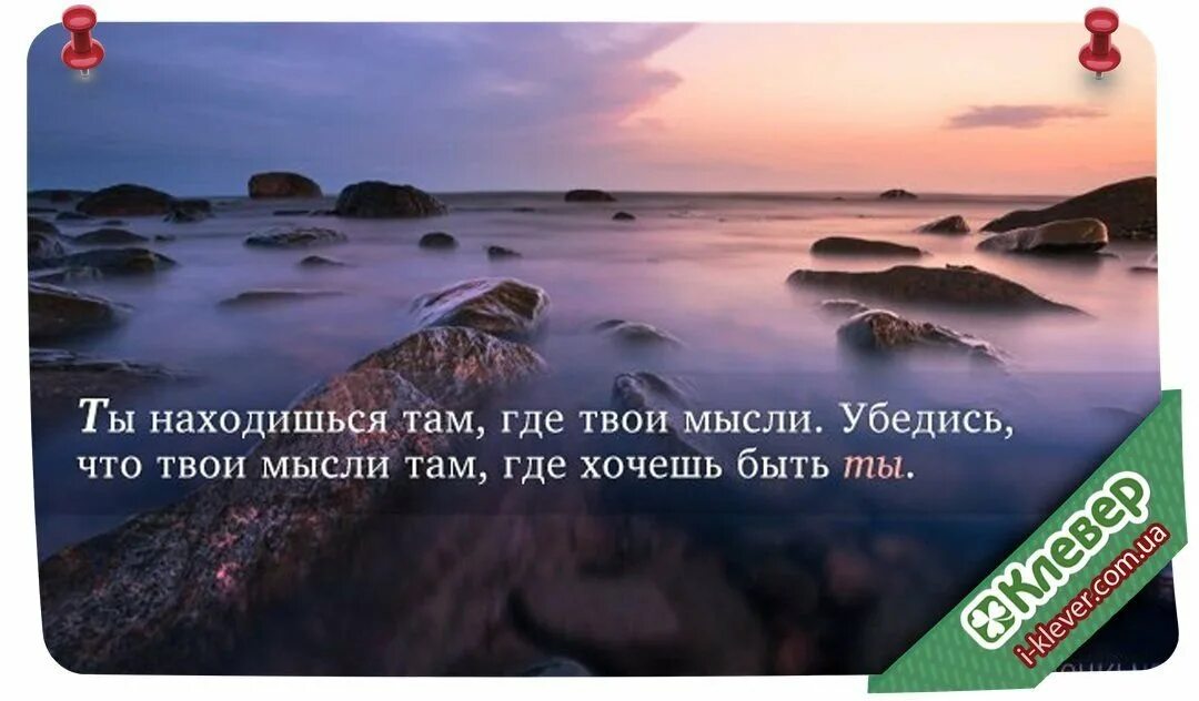 Источник мудрых мыслей