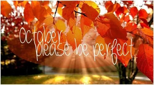 Октябрь надпись. October надпись. Картина привет октябрь. Привет октябрь. Autumn october quote.