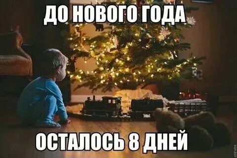 Нг 2025 год кого