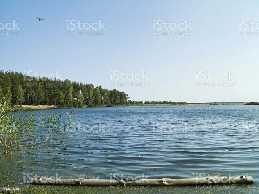Озеро золотые пески. Заборье пляж. Озеро золотые пески. Миасс тургояк золотой пляж. Озеро тургояк челябинская золотые пески.