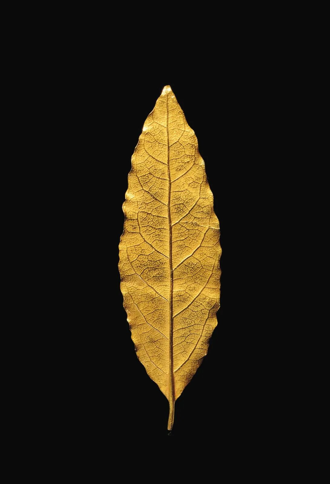 Golden leaf