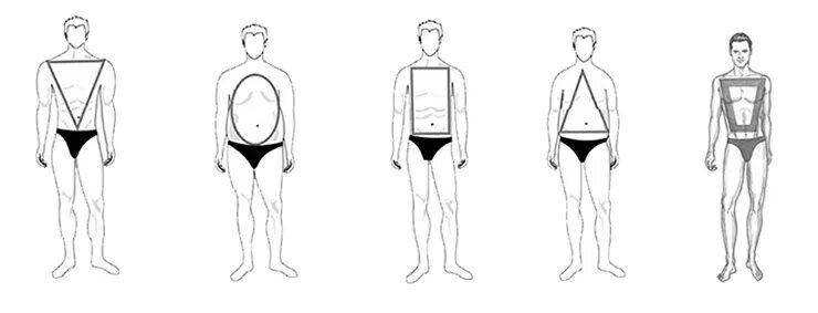 Виды мужской фигуры. Типы мужских фигур. Формы мужского телосложения. Типы мужского телосложения. Типажи фигуры мужчин.