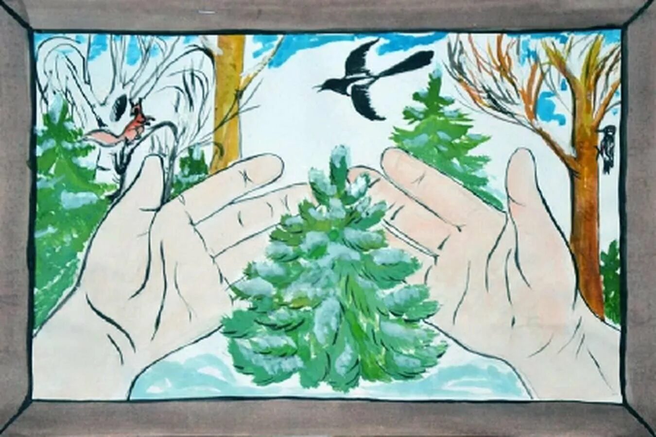 Берегите ели рисунки. Плакат в защиту елок. берегите лесную красавицу. защита хвойных деревьев. листовка в защиту хвойных деревьев.