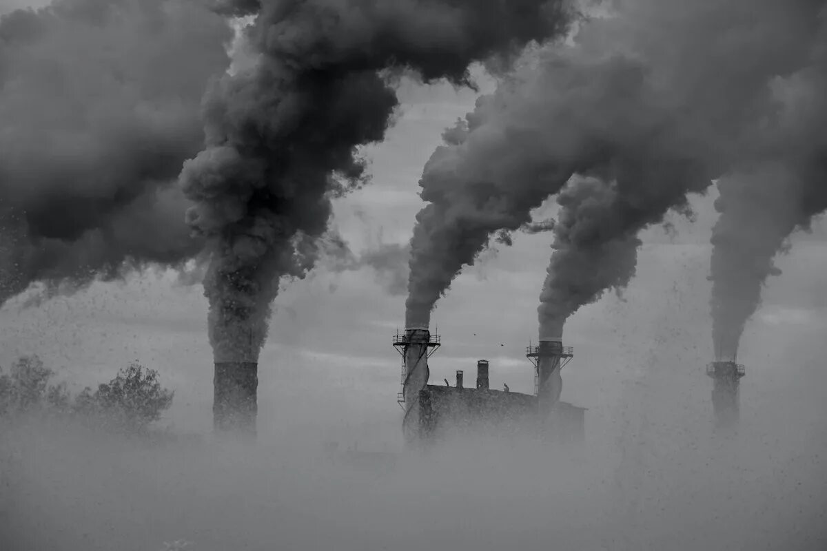 1 is very harmful to the environment