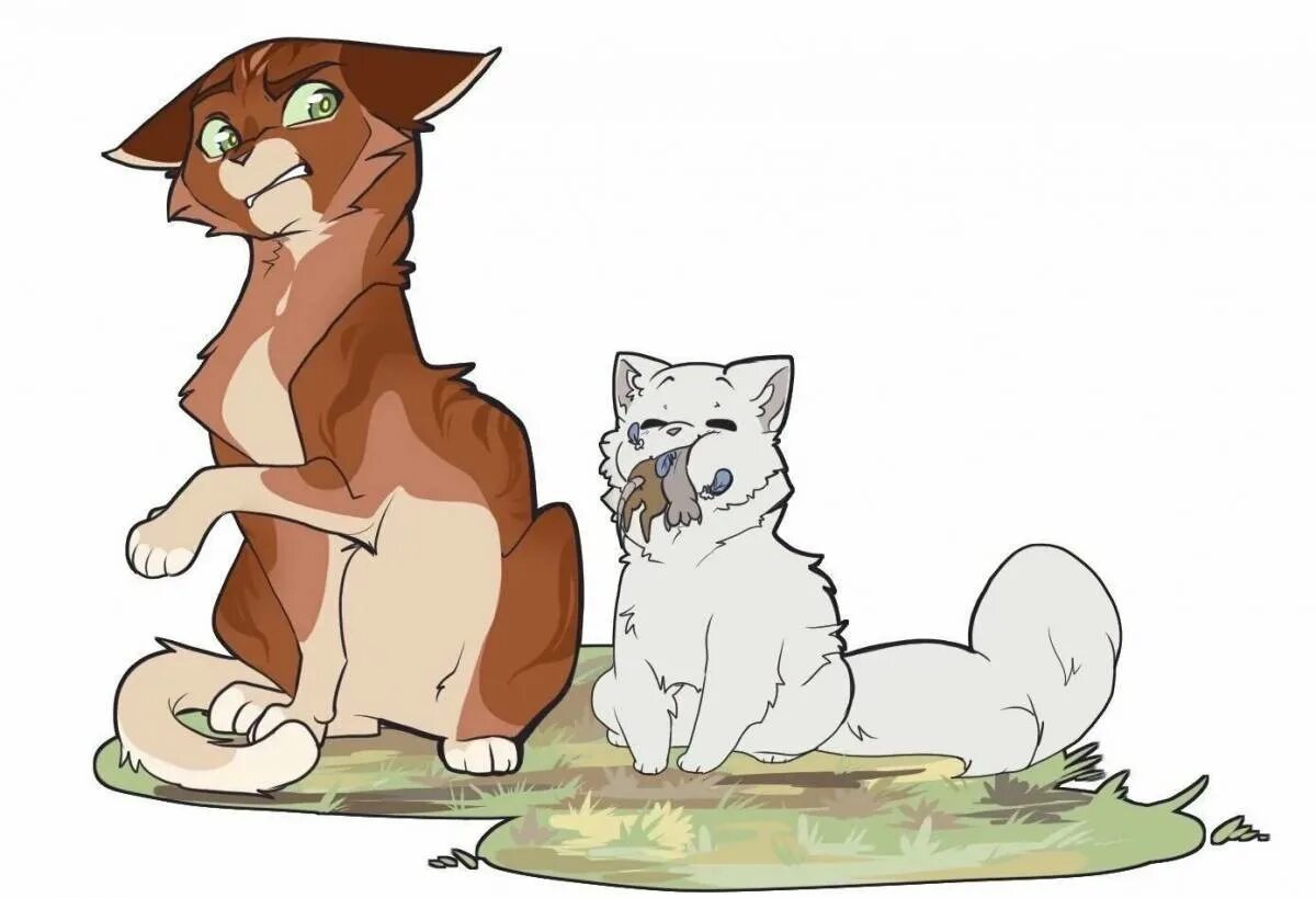 Коты воители как лечить кашель. Коты воители яролика. коты воители белохвост. коты воители воитель и оруженосец. коты воители оруженосцы.