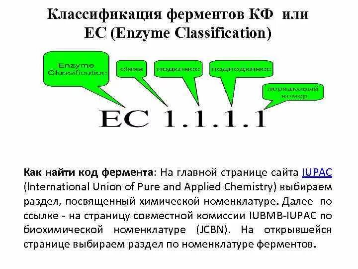 Классификация ферментов. Шифр ферментов. Классификация и номенклатура ферментов. Международная классификация ферментов. Код фермента